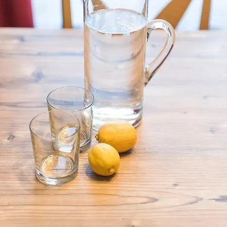 富克斯公寓酒店 公寓 *