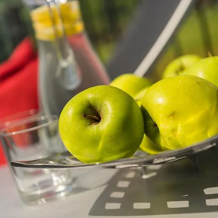 Fuchs - Inklusive Eintritt In Alpentherme Gastein Apartament