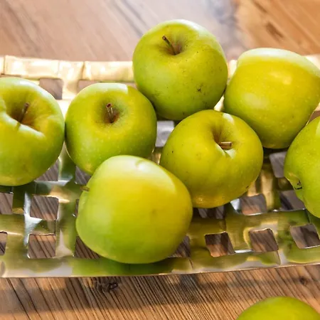 Fuchs - Inklusive Eintritt In Alpentherme Gastein Apartamento Bad Hofgastein